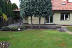 taras-standard-25